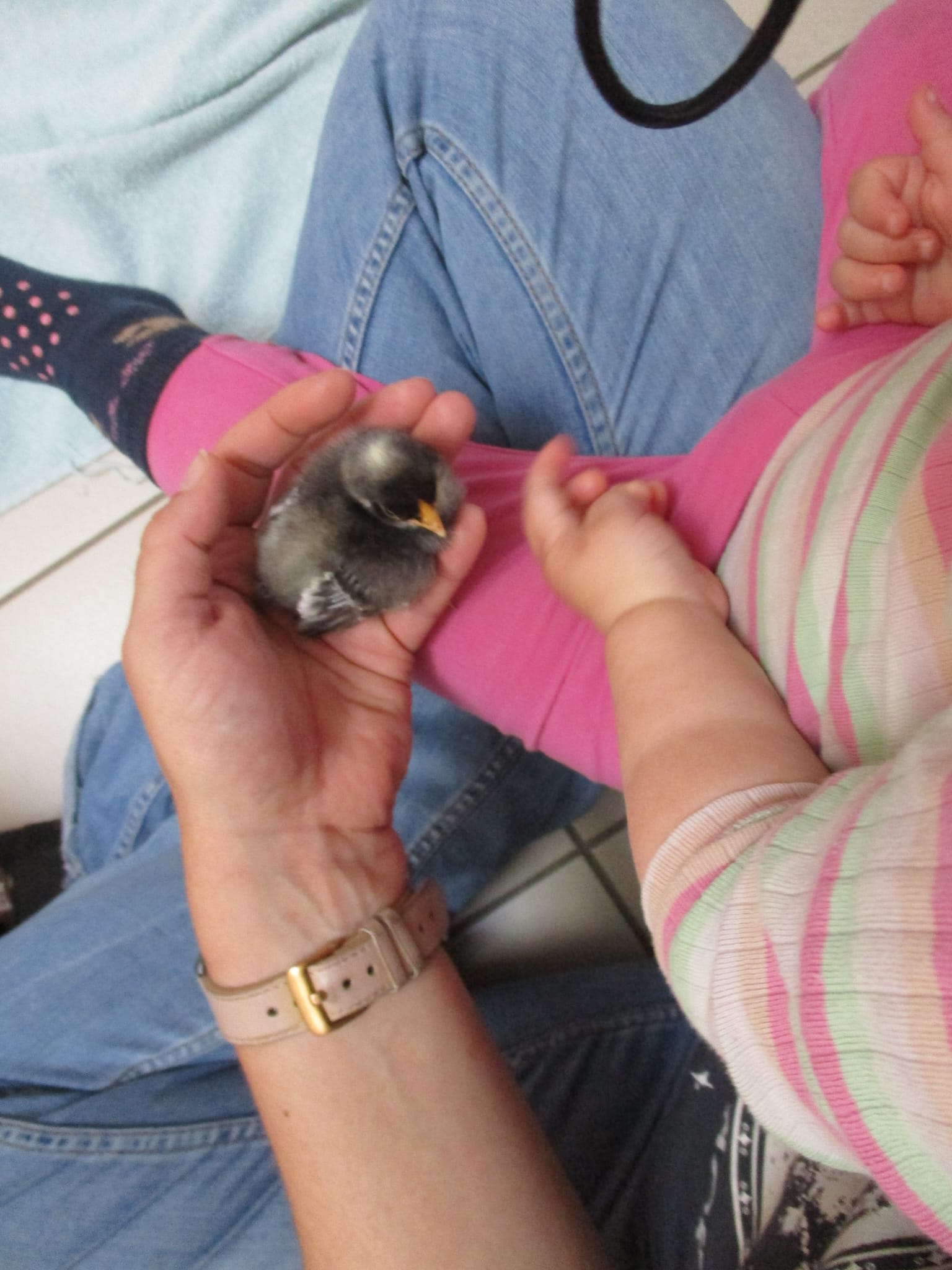 IMG-20250513-WA0011[1]
